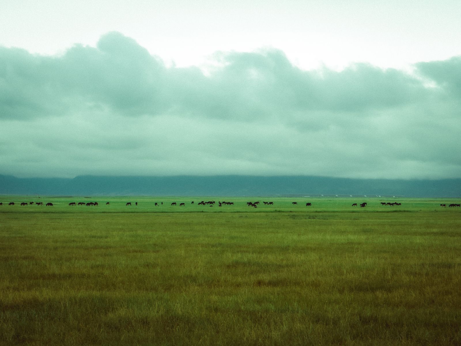 botswana