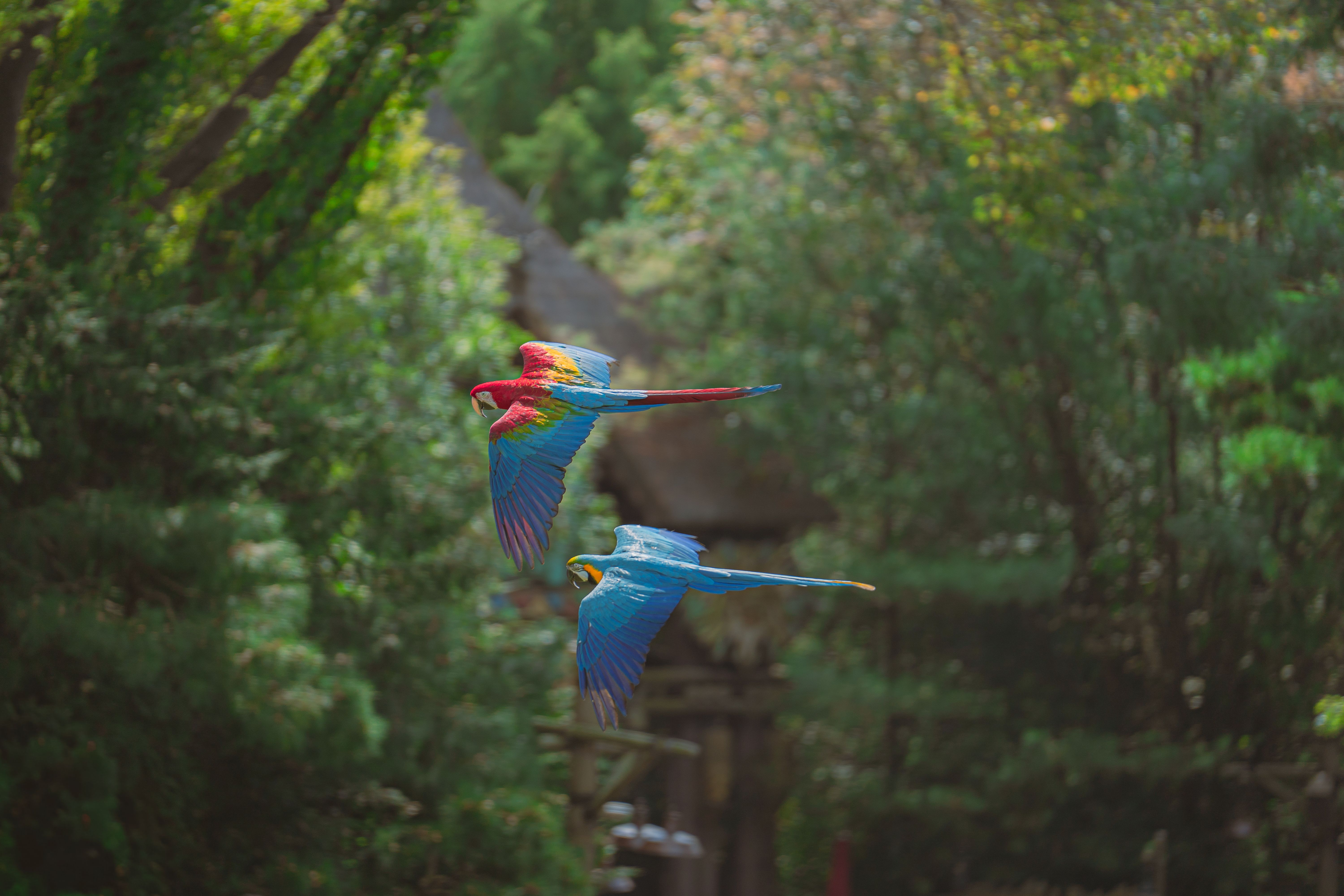 costa-rica