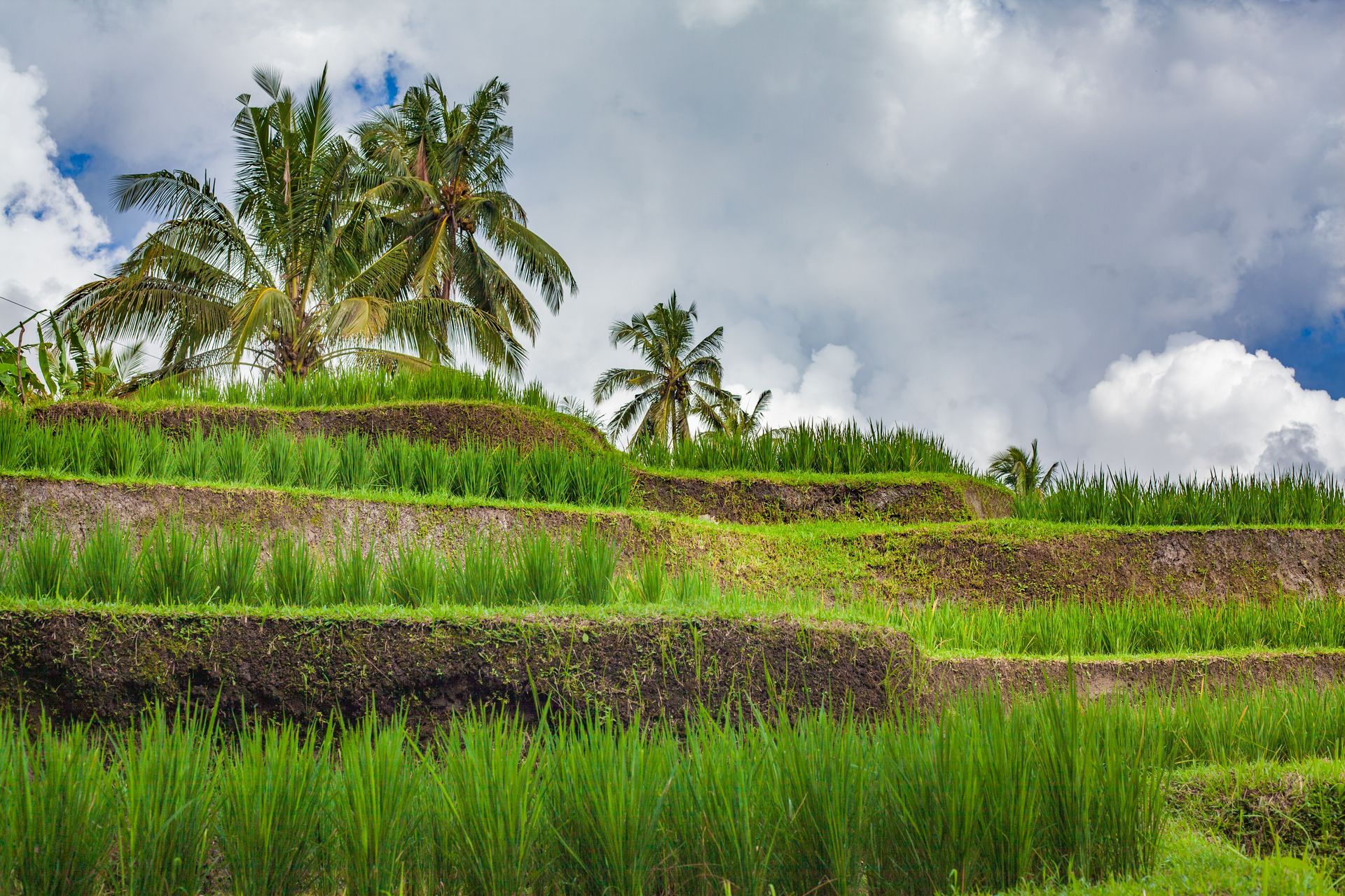 indonesie
