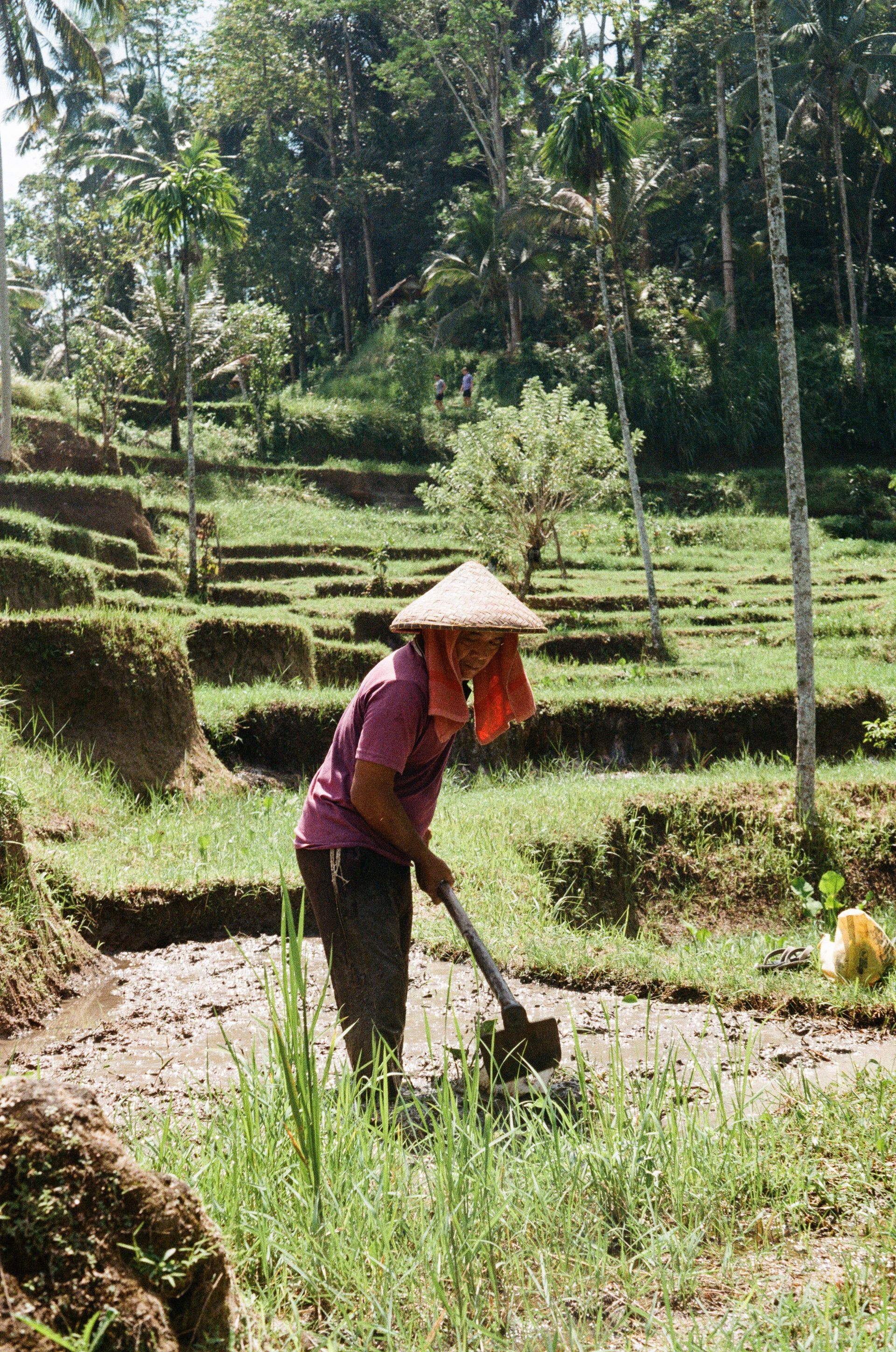 laos