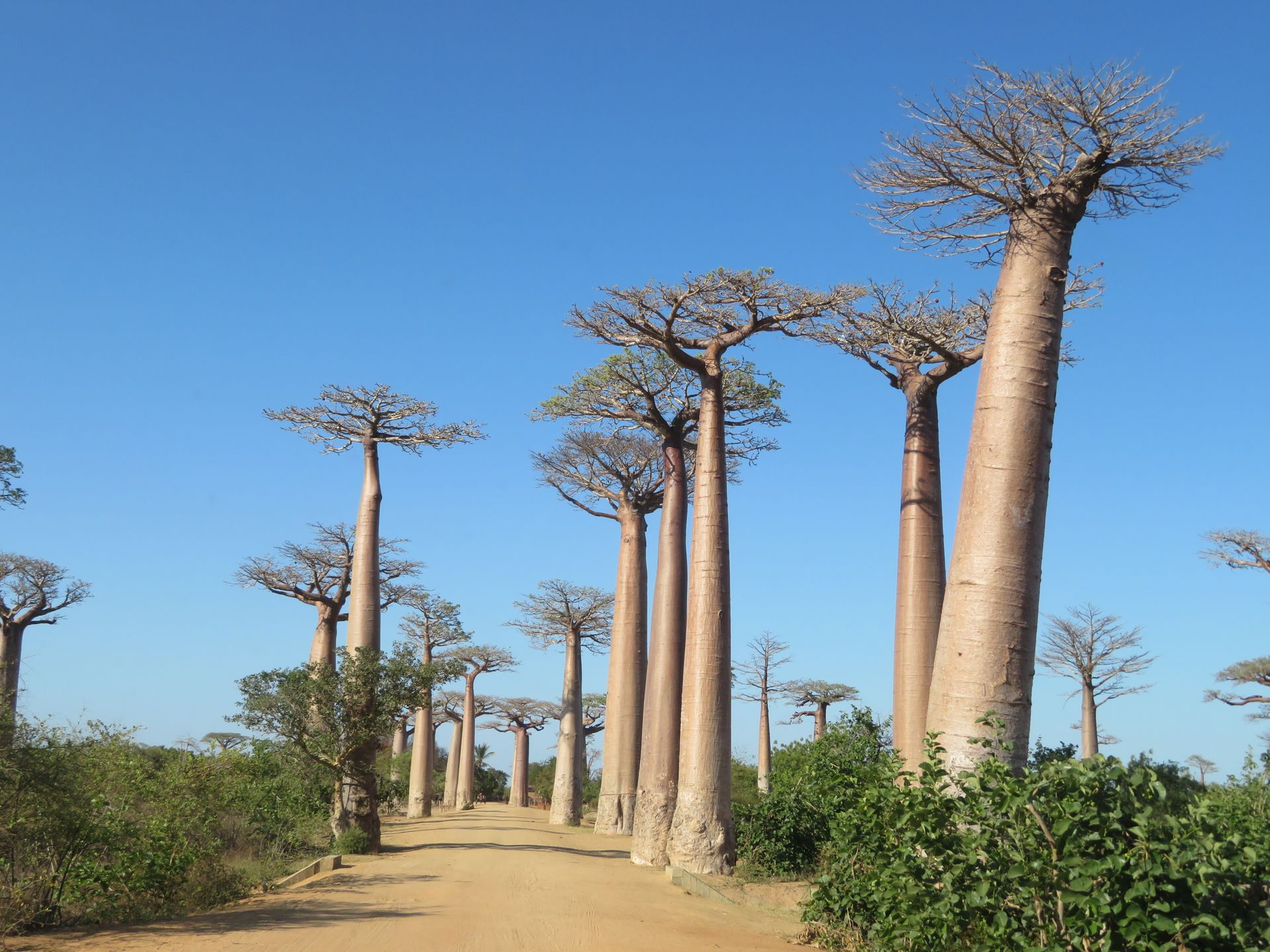 Madagaskar