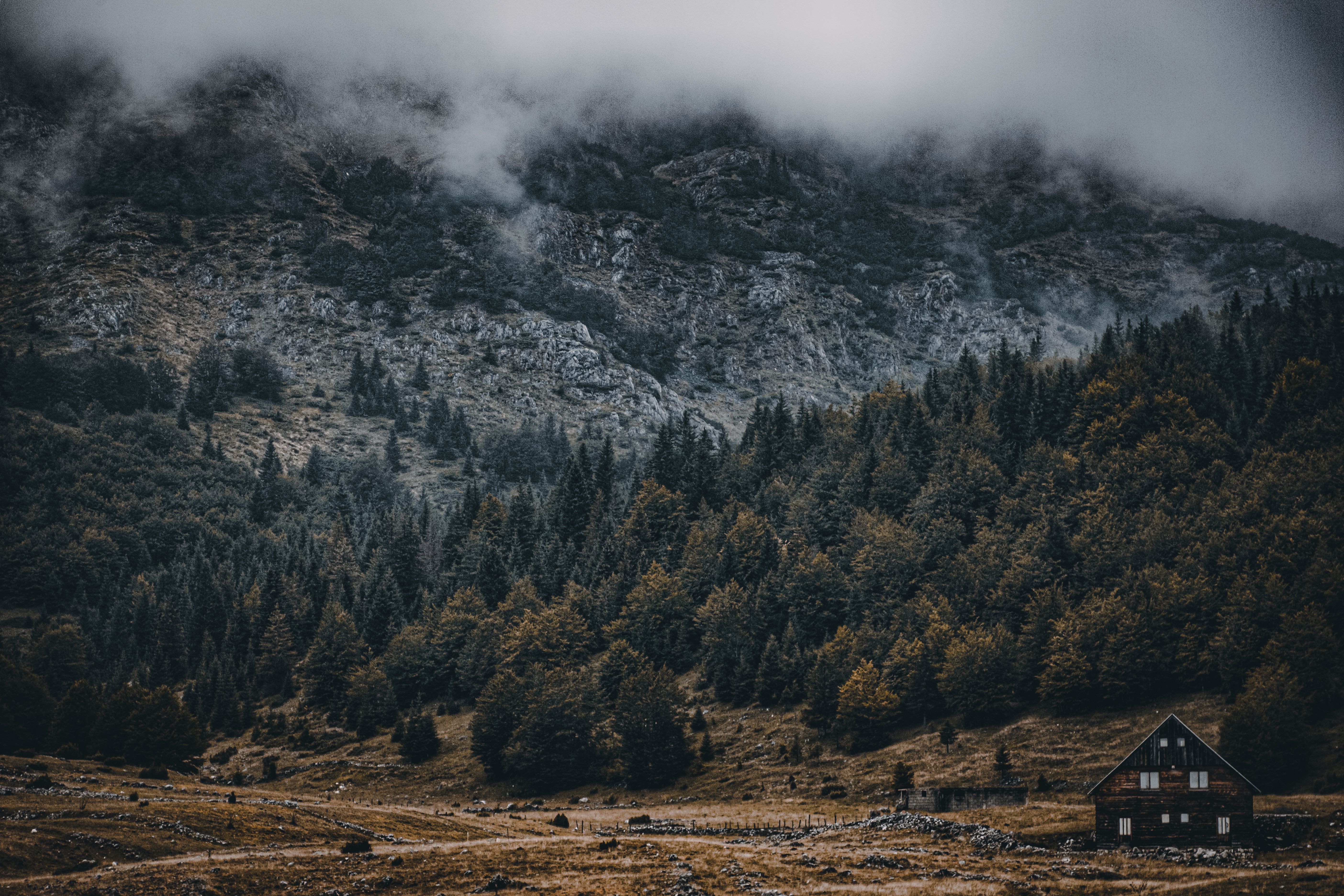 montenegro