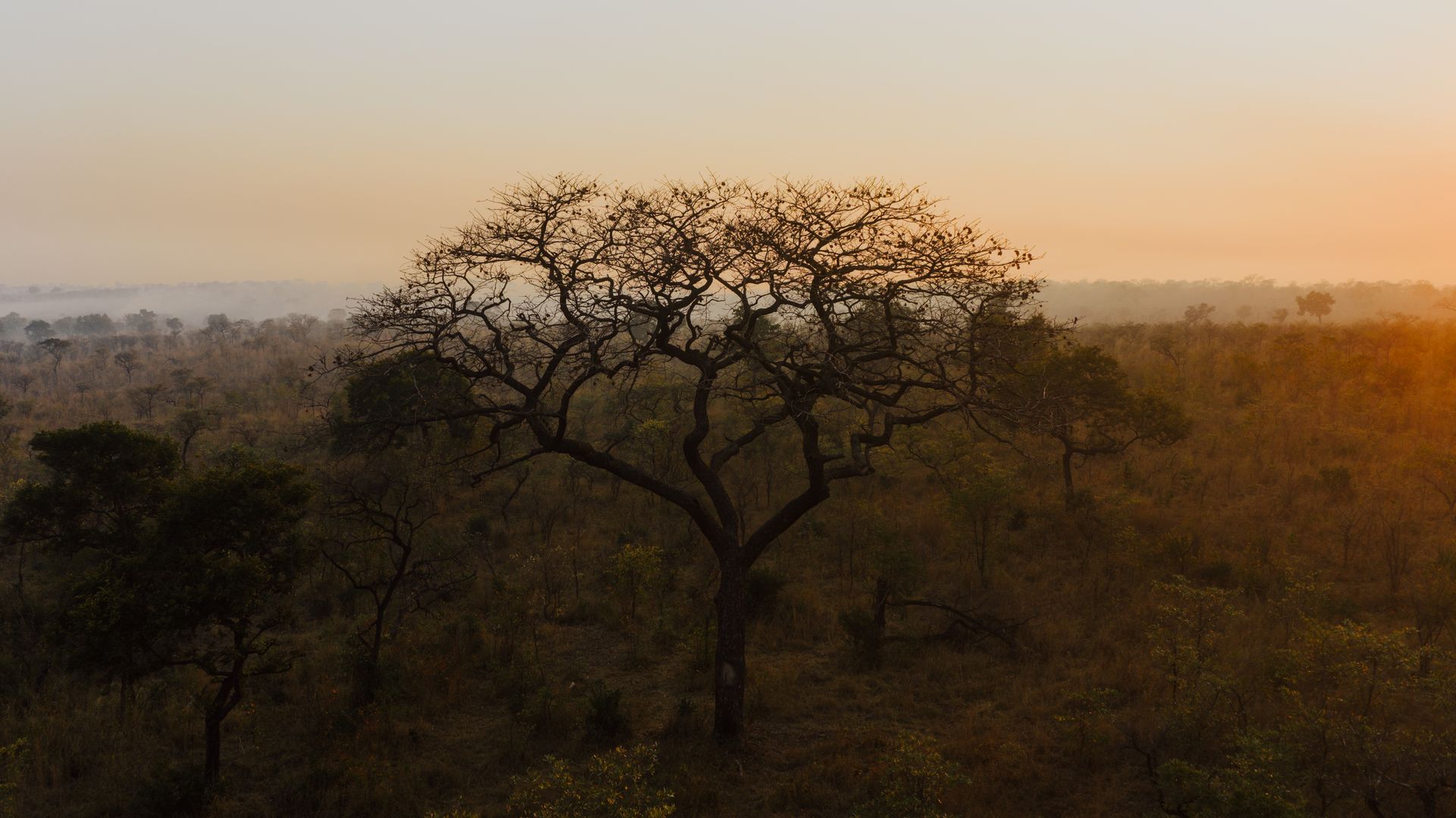 mozambique