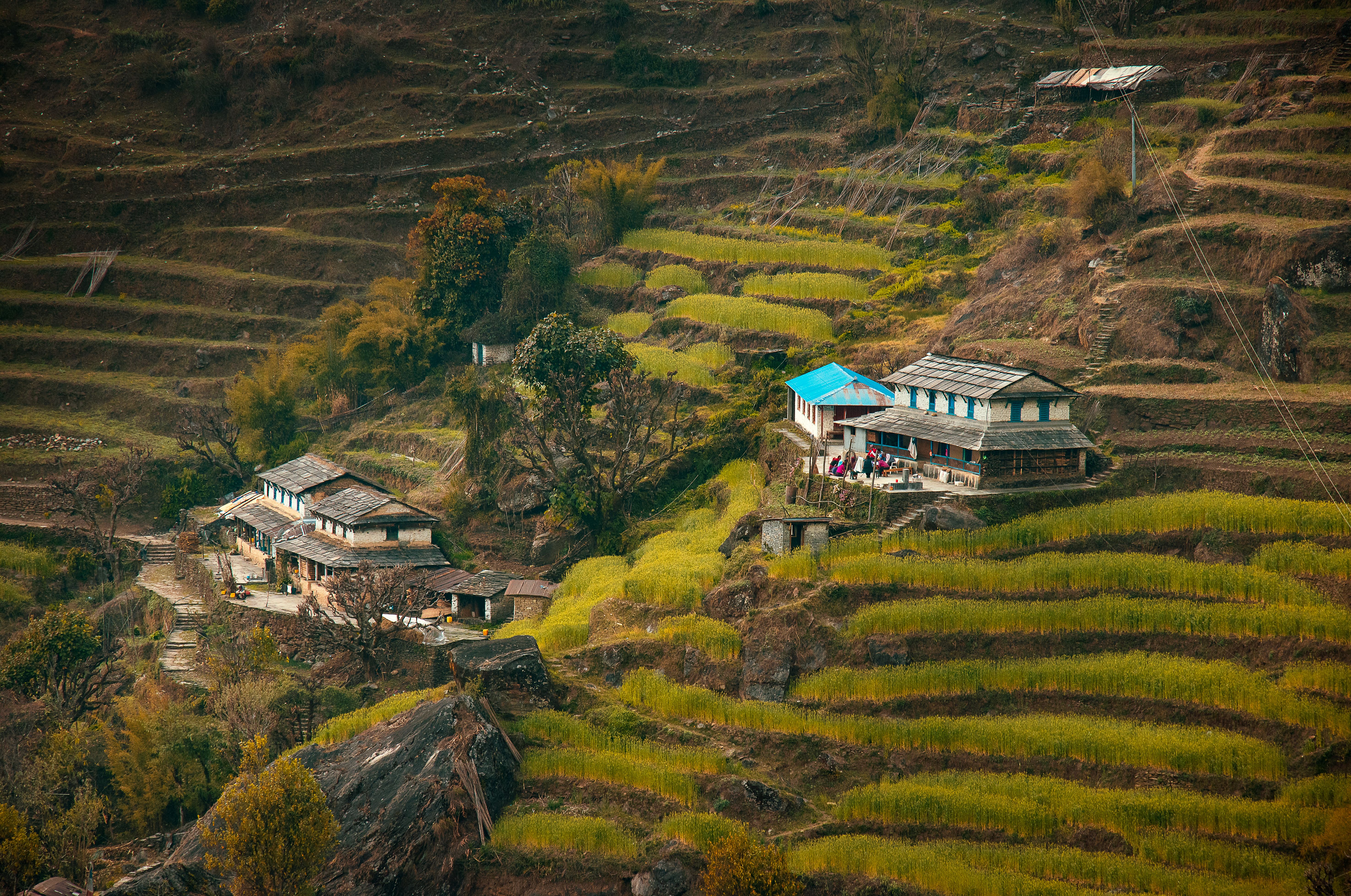nepal