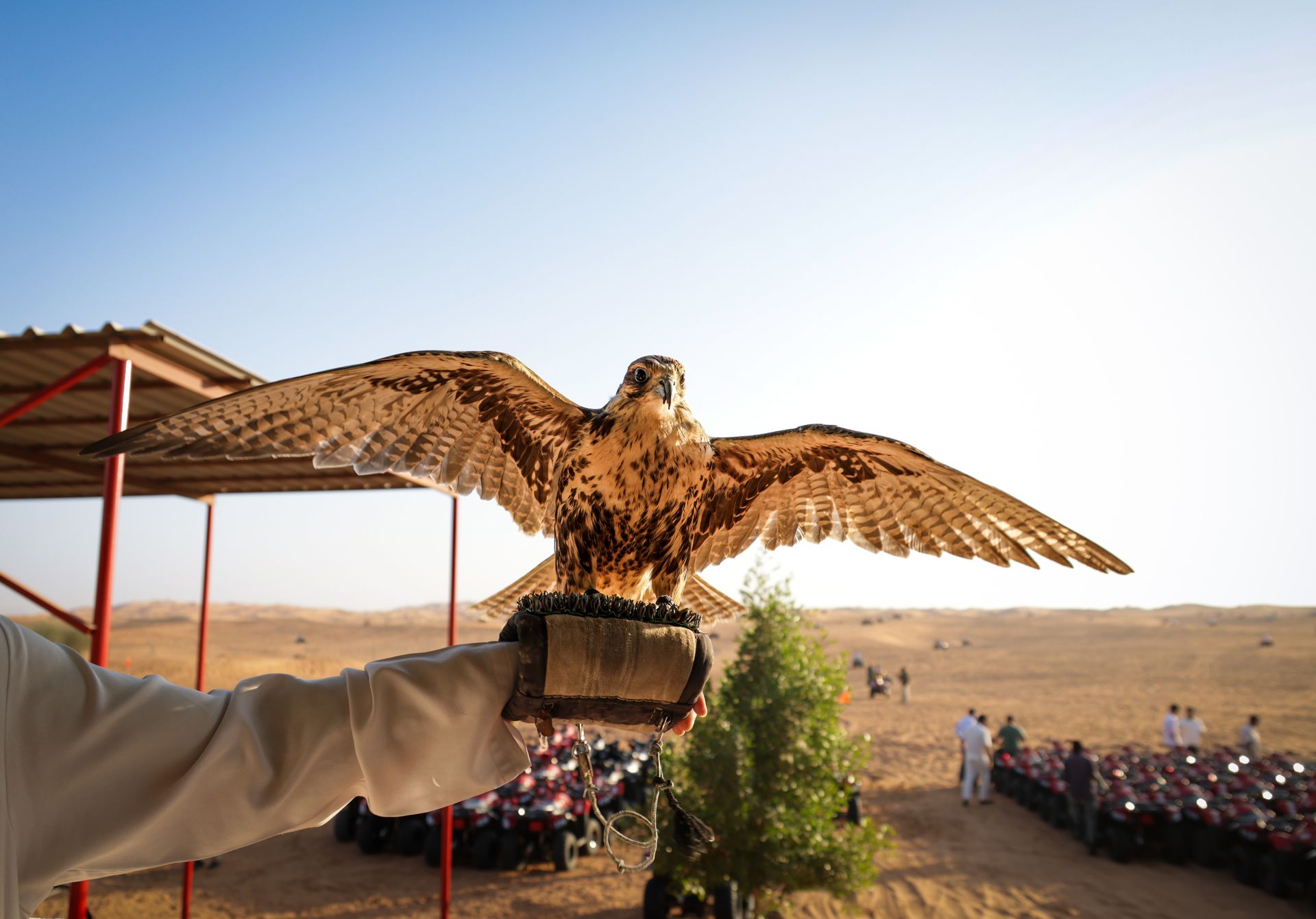 qatar