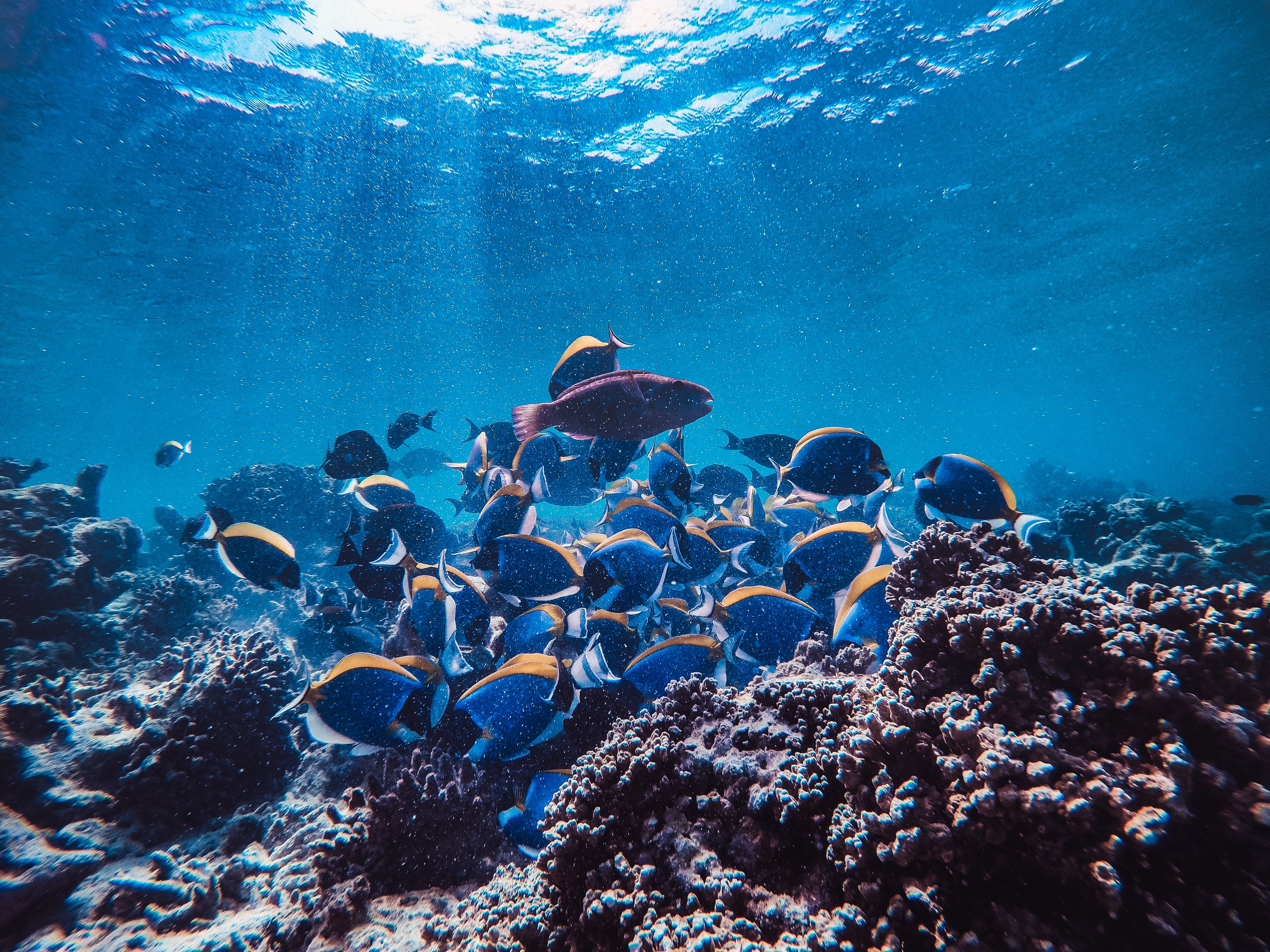 seychellen