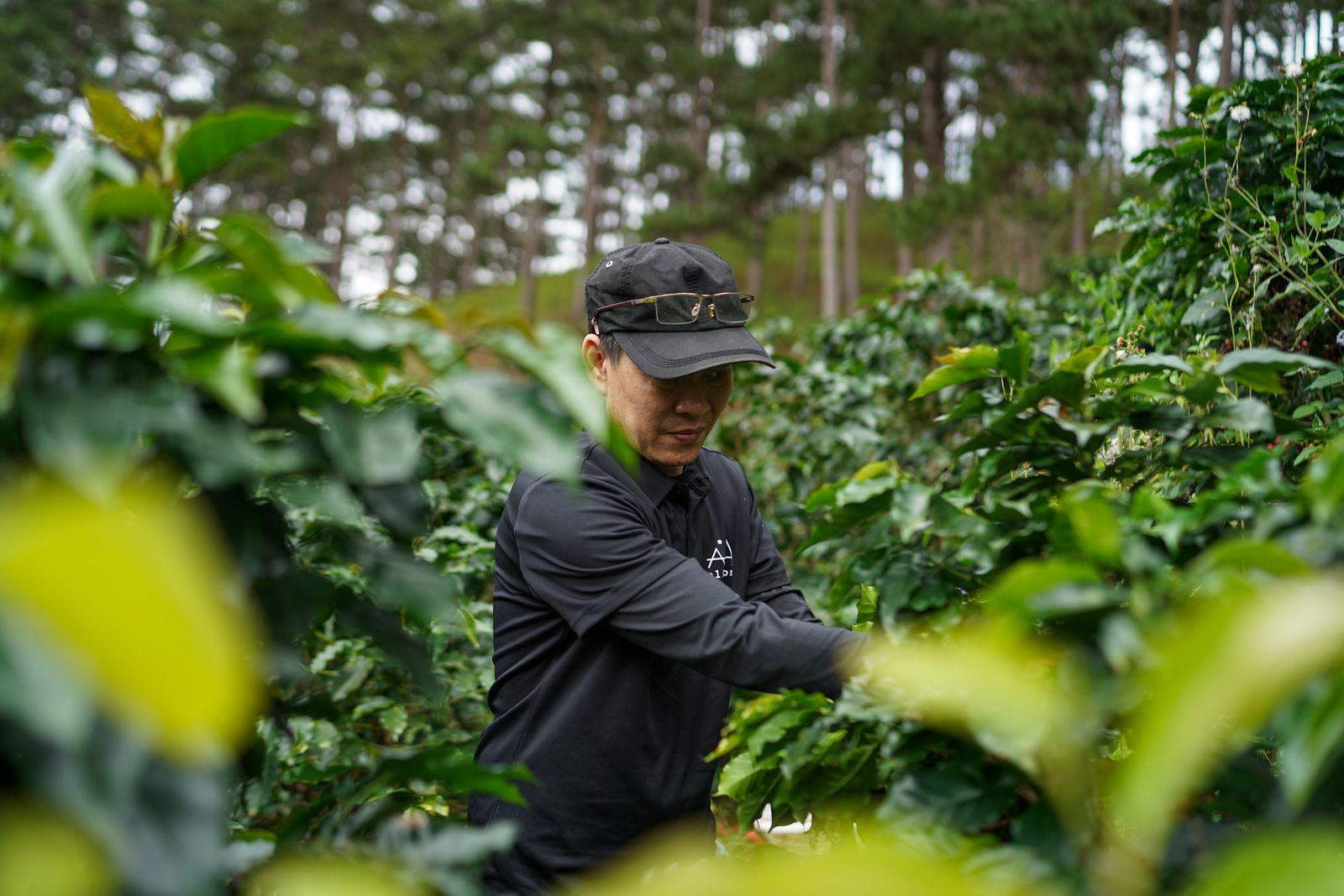 vietnam
